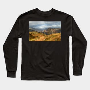 Silver Birches of Holme Fell Long Sleeve T-Shirt